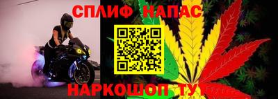 СК Партизанск