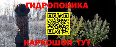 СК Партизанск
